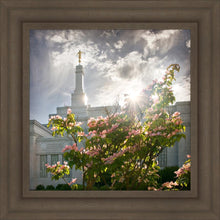 Load image into Gallery viewer, Spokane Brightness and Glory
