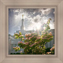 Load image into Gallery viewer, Spokane Brightness and Glory
