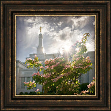 Load image into Gallery viewer, Spokane Brightness and Glory
