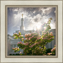 Load image into Gallery viewer, Spokane Brightness and Glory
