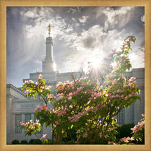 Load image into Gallery viewer, Spokane Brightness and Glory
