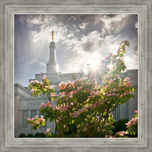 Load image into Gallery viewer, Spokane Brightness and Glory

