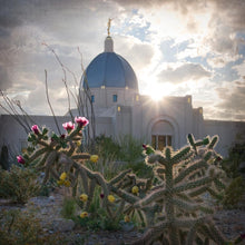 Load image into Gallery viewer, Tucson Brightness and Glory
