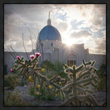 Load image into Gallery viewer, Tucson Brightness and Glory
