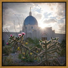 Load image into Gallery viewer, Tucson Brightness and Glory

