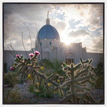 Load image into Gallery viewer, Tucson Brightness and Glory
