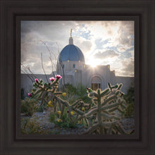 Load image into Gallery viewer, Tucson Brightness and Glory
