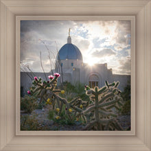 Load image into Gallery viewer, Tucson Brightness and Glory
