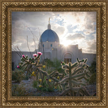 Load image into Gallery viewer, Tucson Brightness and Glory
