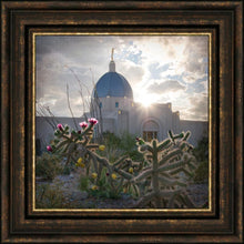 Load image into Gallery viewer, Tucson Brightness and Glory
