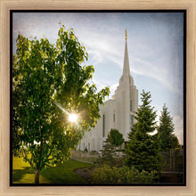 Load image into Gallery viewer, Rexburg Brightness and Glory
