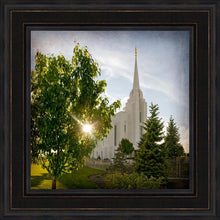 Load image into Gallery viewer, Rexburg Brightness and Glory
