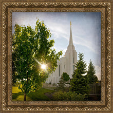 Load image into Gallery viewer, Rexburg Brightness and Glory
