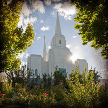 Load image into Gallery viewer, Brigham City Brightness and Glory
