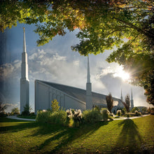 Load image into Gallery viewer, Boise Brightness and Glory
