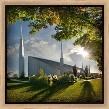Load image into Gallery viewer, Boise Brightness and Glory
