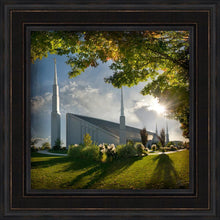 Load image into Gallery viewer, Boise Brightness and Glory
