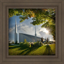Load image into Gallery viewer, Boise Brightness and Glory
