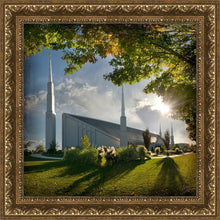 Load image into Gallery viewer, Boise Brightness and Glory
