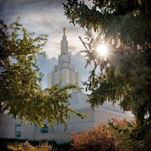 Load image into Gallery viewer, Idaho Falls Brightness and Glory
