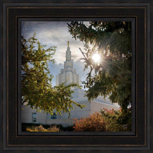Load image into Gallery viewer, Idaho Falls Brightness and Glory

