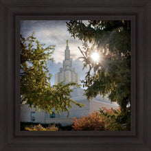 Load image into Gallery viewer, Idaho Falls Brightness and Glory
