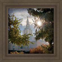 Load image into Gallery viewer, Idaho Falls Brightness and Glory
