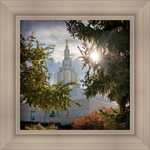 Load image into Gallery viewer, Idaho Falls Brightness and Glory
