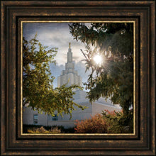 Load image into Gallery viewer, Idaho Falls Brightness and Glory
