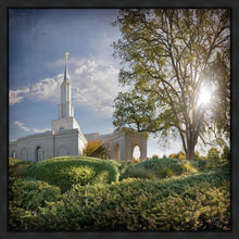 Load image into Gallery viewer, Sacramento Brightness and Glory
