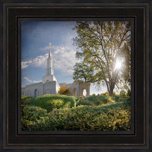 Load image into Gallery viewer, Sacramento Brightness and Glory

