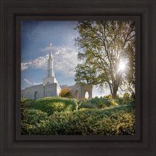 Load image into Gallery viewer, Sacramento Brightness and Glory
