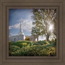 Load image into Gallery viewer, Sacramento Brightness and Glory
