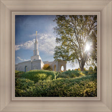 Load image into Gallery viewer, Sacramento Brightness and Glory
