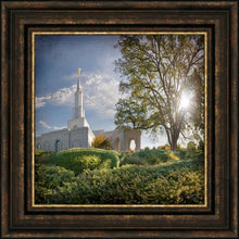 Load image into Gallery viewer, Sacramento Brightness and Glory
