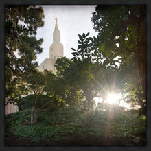 Load image into Gallery viewer, Los Angeles Brightness and Glory
