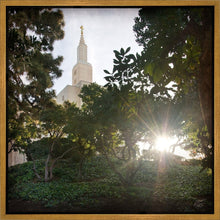 Load image into Gallery viewer, Los Angeles Brightness and Glory
