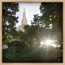 Load image into Gallery viewer, Los Angeles Brightness and Glory
