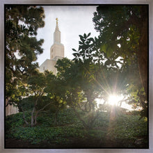 Load image into Gallery viewer, Los Angeles Brightness and Glory
