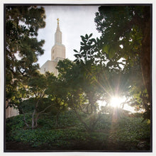 Load image into Gallery viewer, Los Angeles Brightness and Glory
