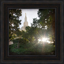 Load image into Gallery viewer, Los Angeles Brightness and Glory
