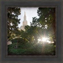 Load image into Gallery viewer, Los Angeles Brightness and Glory
