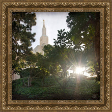 Load image into Gallery viewer, Los Angeles Brightness and Glory
