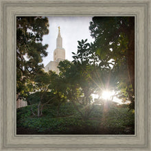 Load image into Gallery viewer, Los Angeles Brightness and Glory
