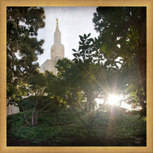 Load image into Gallery viewer, Los Angeles Brightness and Glory
