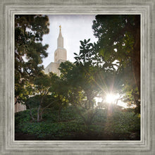 Load image into Gallery viewer, Los Angeles Brightness and Glory
