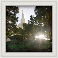 Load image into Gallery viewer, Los Angeles Brightness and Glory
