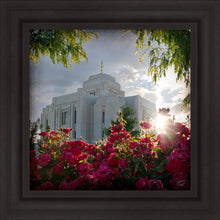 Load image into Gallery viewer, Meridian Brightness and Glory Gallery Wrap
