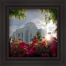 Load image into Gallery viewer, Meridian Brightness and Glory Gallery Wrap
