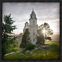 Load image into Gallery viewer, Manti Brightness and Glory
